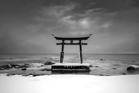 Torii gate (awarded)