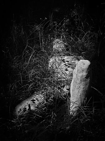 Abandoned 3, MKD