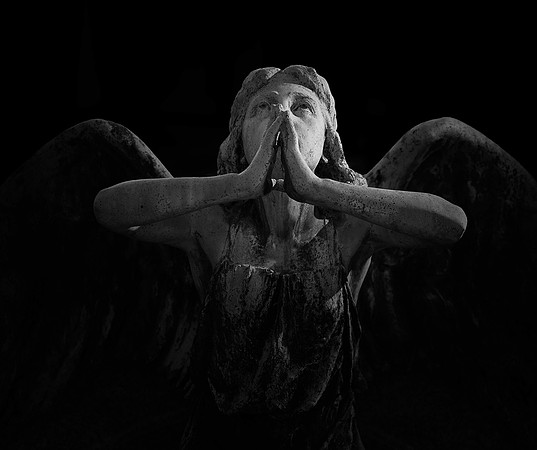 To the victims of COVID 3, IT