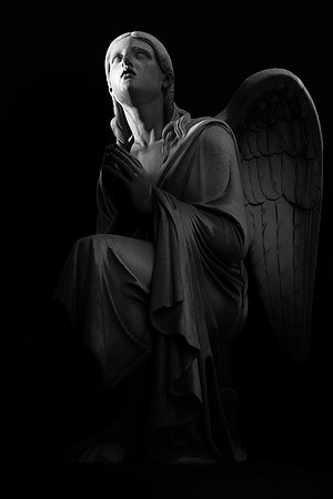 To the victims of COVID 2, IT