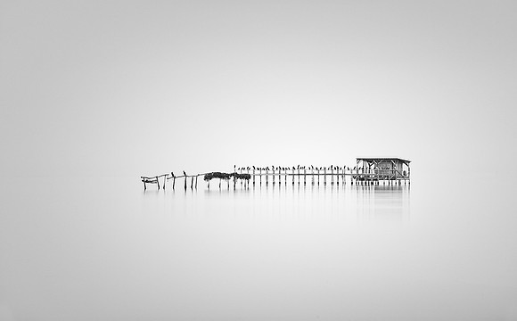 It ain't just birds (awarded), GR